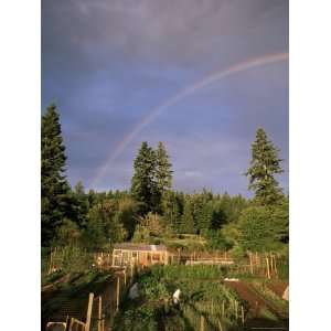  Organic Vegetable Garden, Vashon Island, Puget Sound, Washington 
