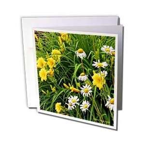  Edmond Hogge Jr Floral   Lilys and Daisys   Greeting Cards 