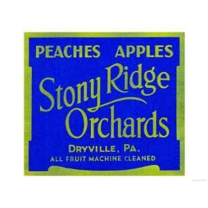  Stony Ridge Orchards Peaches and Apples Premium Poster 