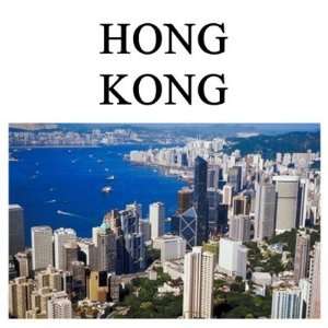  hong kong design Fridge Magnet