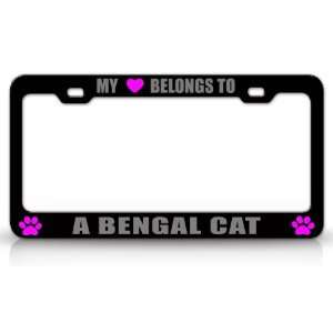  MY HEART BELONGS TO A BENGAL Cat Pet Auto License Plate 