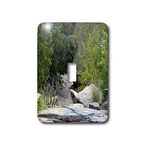   Scenes   Trail of Rocks   Light Switch Covers   single toggle switch