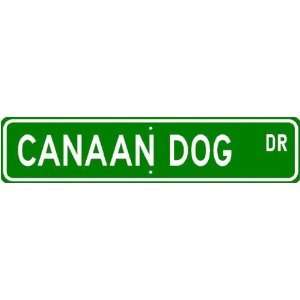  Canaan Dog STREET SIGN ~ High Quality Aluminum ~ Dog Lover 