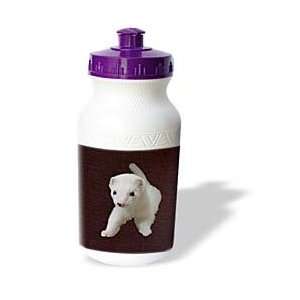  Sandy Mertens Animals   Baby Albino Ferret   Water Bottles 