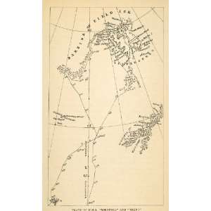   Ship Track Map Spitsbergen   Original Engraving