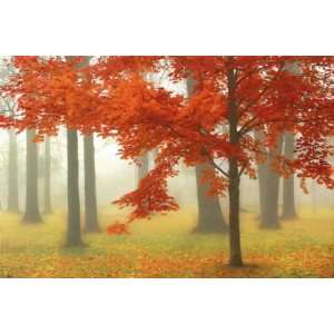 Donna Geissler 36W by 24H  Autumn Mist II Super Resin Gloss 1 3/4 
