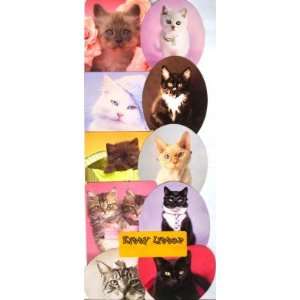 Kitty Litter Vending Stickers  Grocery & Gourmet Food