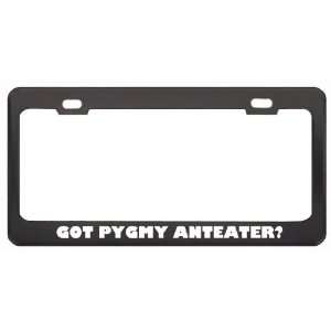  Got Pygmy Anteater? Animals Pets Black Metal License Plate 