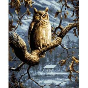    Bucilla 21681 Paint by Number, Night Owl Arts, Crafts & Sewing