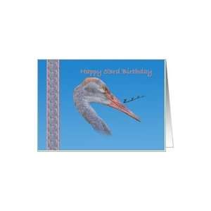 53rd Birthday Card with Sandhill Crane Bird Card Toys 