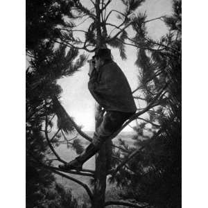  A French Artillery Observer on the Look Out Up a Tree 