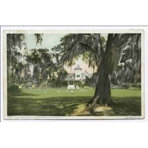   Reprint Ashley Hall, Magnolia on the Ashley, Charleston, S.C 1907 1908
