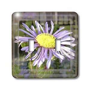   flower, flowers, ice plant, marigold   Light Switch Covers   double