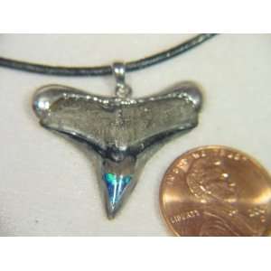  Fossil Shark Tooth Inlaid Gilson Opal Sterling Silver 