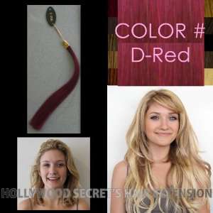  Color Swatch Sample for Hollywood Secrets Clip in Clip on 