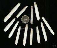 NATURAL WHITE PENCIL URCHIN SPINES ASSORTED SIZES  12  