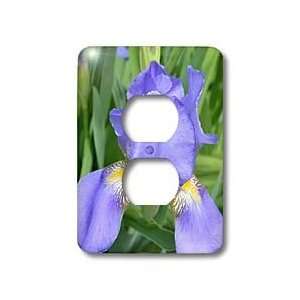 Patricia Sanders Flowers   Purple Iris   Light Switch Covers   2 plug 