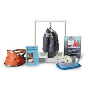    BioQuest Simulated Smokers Lung Kit