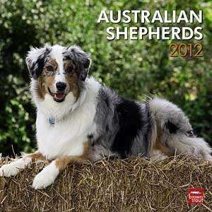  2012 Australian Shepherds Calendar