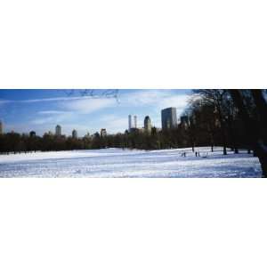  Four People in a Snow Covered Park, Central Park 