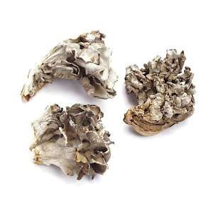 Hen Of The Woods (Og)   1 Lb Bag / Box Each  Grocery 