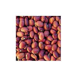 Red Mexican Bush Bean   25 lb.  Grocery & Gourmet Food
