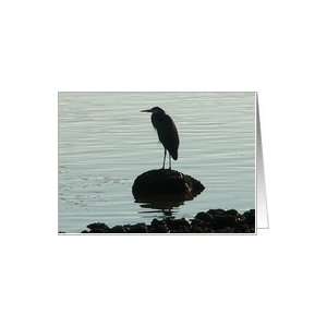  The Blue Heron Awaits Blank Card Card Health & Personal 