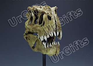 Replica Dinosaur Fossil Tyrannosaurus Skull T Rex NEW  