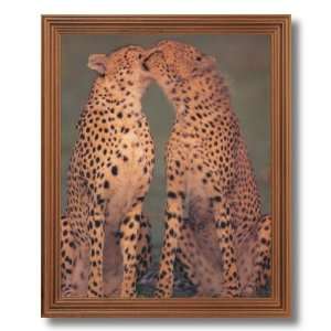  Tropical Cheetah Cat Kissing Animal Wildlife Picture Oak 