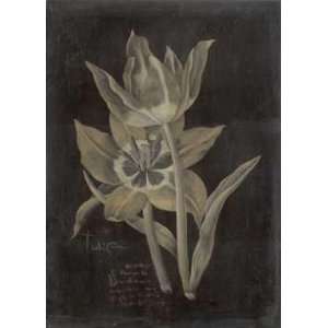  Tulipa 1    Print