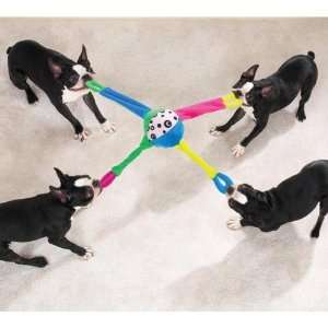  Zanies TufOf4 Ball   Tug of War Dog Toy