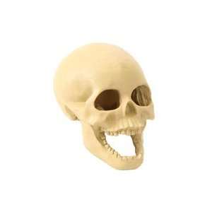  Design Elements Laughing Skull Aq. Ornament Med. 7.5 in. x 