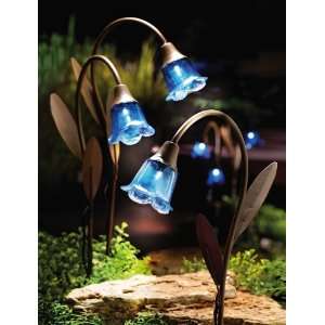  Blue Bell Stake Solar Lawn Lights By Collections Etc 
