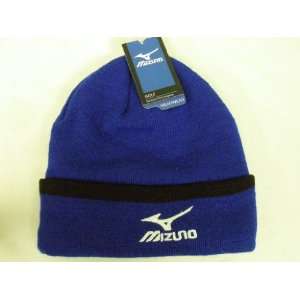   Hat (One Size Fits All, 2012) Beanie Toboggan NEW