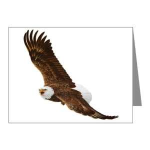  Note Cards (10 Pack) Bald Eagle Flying 