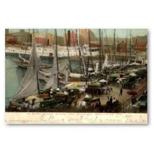  Busy Scene Along the Wharves, Baltimore, MD 1905 Poster 