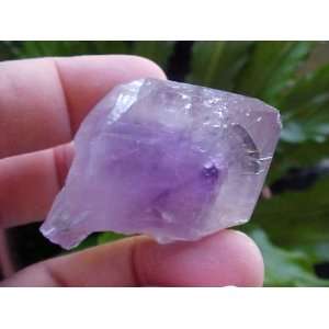  A5118 Gemqz Amethyst Rough Point w/ Root Large 