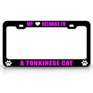  MY HEART BELONGS TO A TONKINESE Cat Pet Auto License Plate 