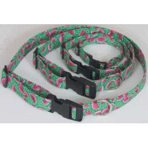  Resort Wear Watermelon Dog Collar   Available in Small 