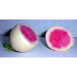   Radish 100 + Seeds  Remarkably sweet, Delicious Patio, Lawn & Garden