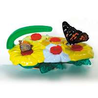 BUTTERFLY FEEDER~INSECT LORE~Attract & Feed Butterflies 735569020205 
