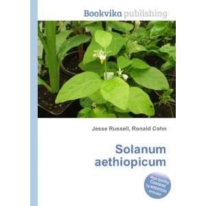  Solanum aethiopicum Ronald Cohn Jesse Russell Books