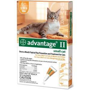 Advantage II for Cats   6 ct (cats 5   9 lbs) Orange Pet 