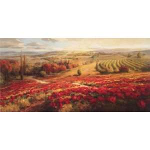  Roberto Lombardi 48W by 24H  Red Poppy Panorama CANVAS 