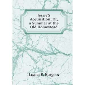   ; Or, a Summer at the Old Homestead Luana E. Burgess Books