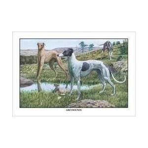 Greyhounds 12x18 Giclee on canvas 