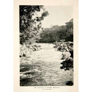  1925 Print Rio Platano Plantain Biosphere Reserve Honduras 