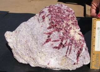 HUGE 16 LB TOURMALINE IN LEPIDOLITE   CALIFORNIA 12639  