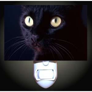    Midnight Black Cat Decorative Night Light