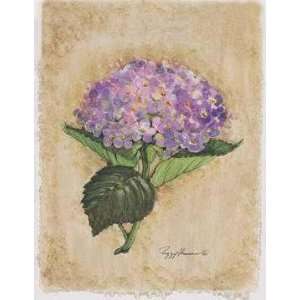  Blooming Hydrangea (Canv)    Print